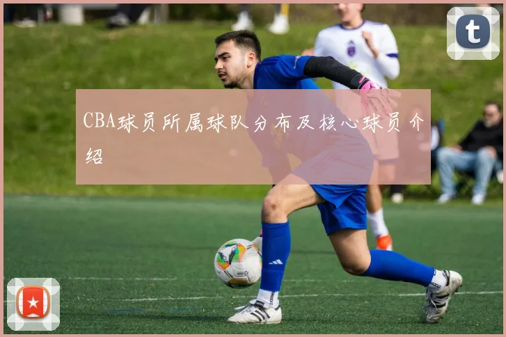 CBA球员所属球队分布及核心球员介绍